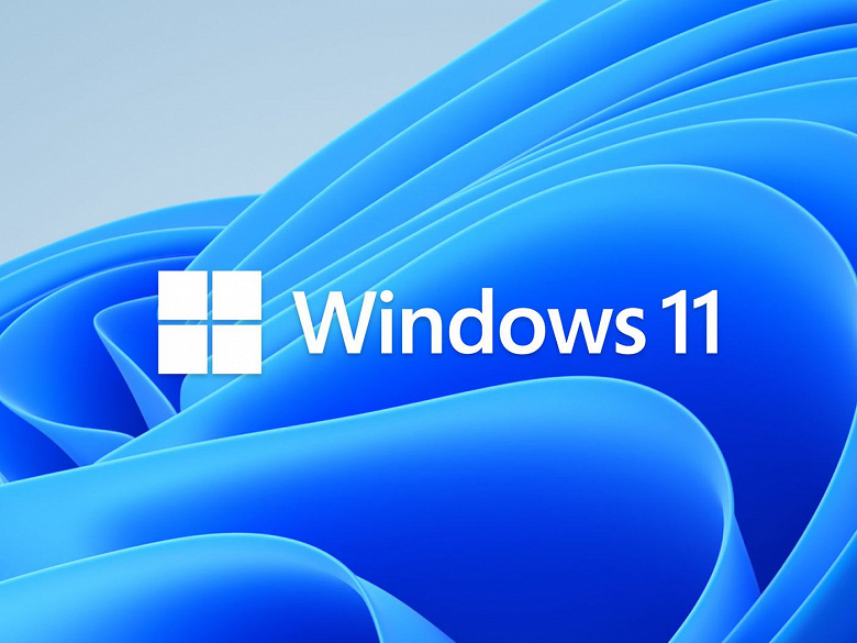 windows 11 se large