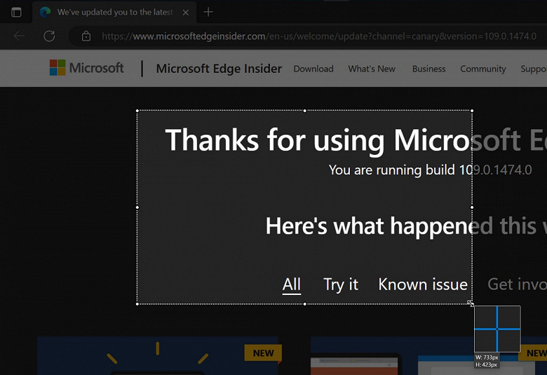 Edge screenshot tool large