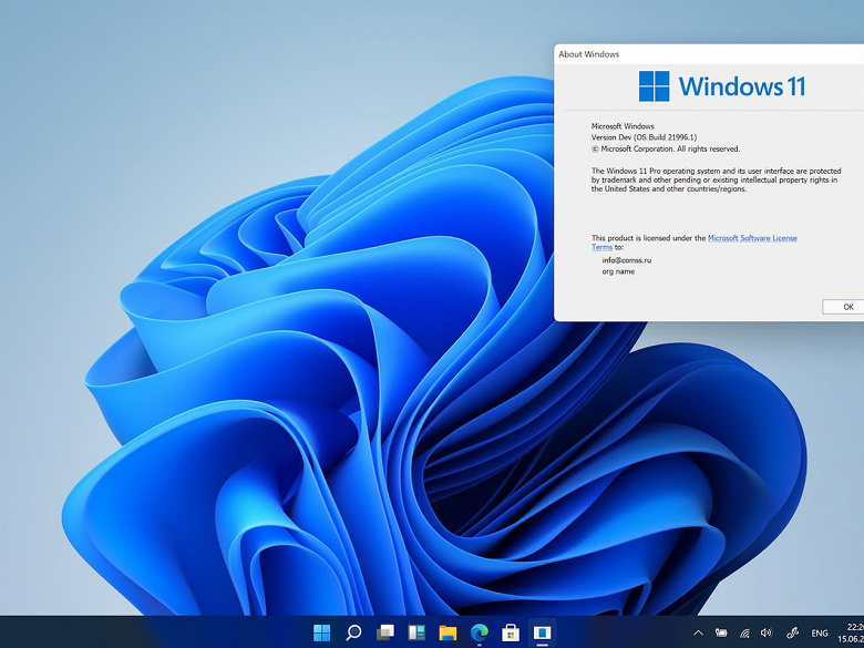 Windows 11