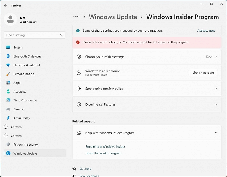 Experimental feature in Windows 11 large