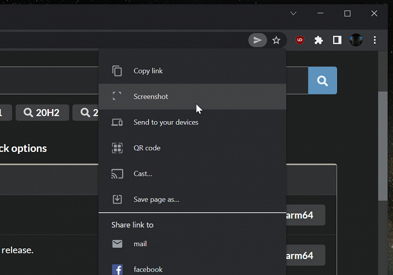 Google Chrome Share Menu screenshot tool large