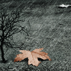lisst rain